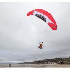 Portrait de Old Metal Bird